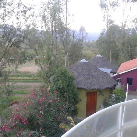 Hotel La Pasarela Tarija Zewnętrze zdjęcie