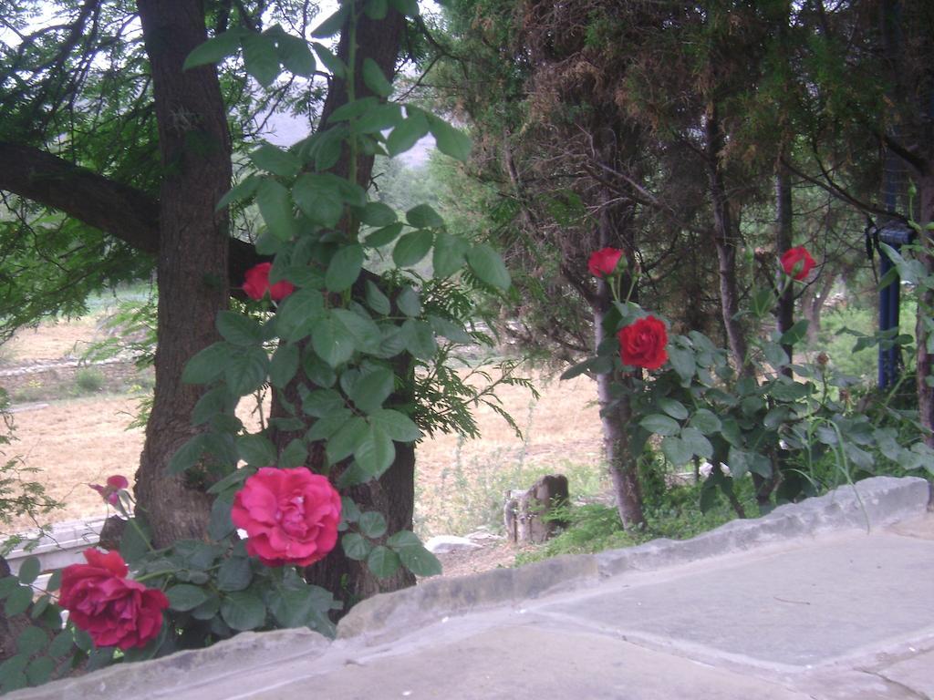 Hotel La Pasarela Tarija Zewnętrze zdjęcie